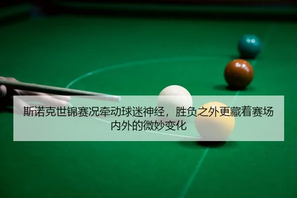 si-nuo-ke-shi-jin-sai-kuang-qian-dong-qiu-mi-shen-jing-sheng-fu-zhi-wai-geng-cang-zhe-sai-chang-nei-wai-de-wei-miao-2-303.jpg
